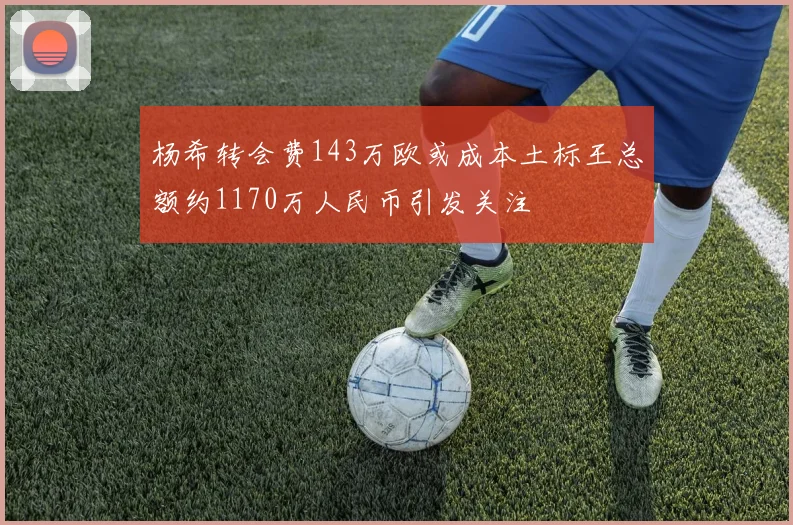 杨希转会费143万欧或成本土标王总额约1170万人民币引发关注
