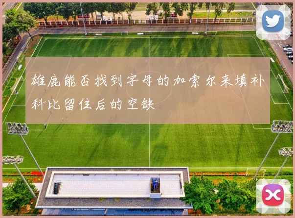 雄鹿能否找到字母的加索尔来填补科比留住后的空缺