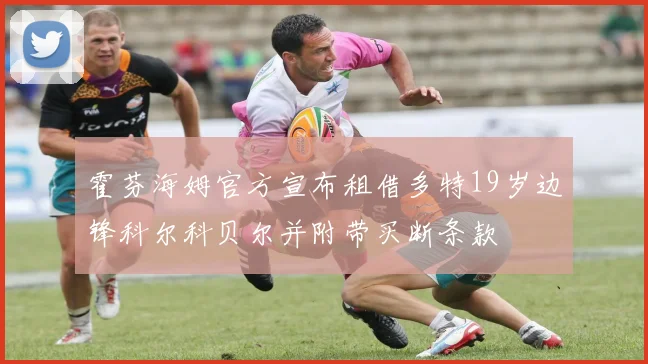 霍芬海姆官方宣布租借多特19岁边锋科尔科贝尔并附带买断条款