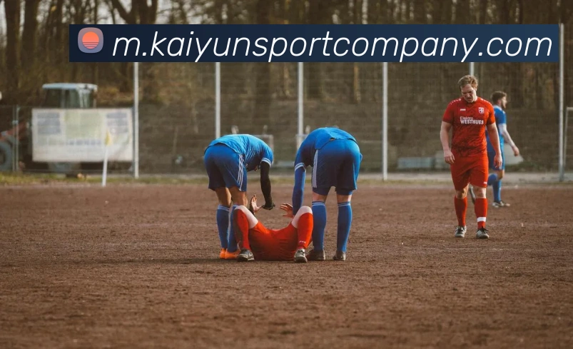 多媒体互动体验